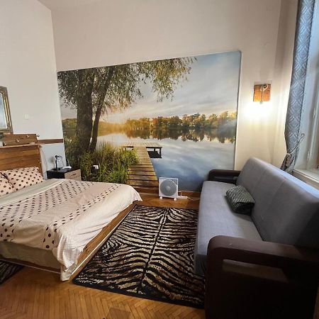 Apartament Ultracentral 2 Piata Muzeului Κλουζ-Ναπόκα Εξωτερικό φωτογραφία