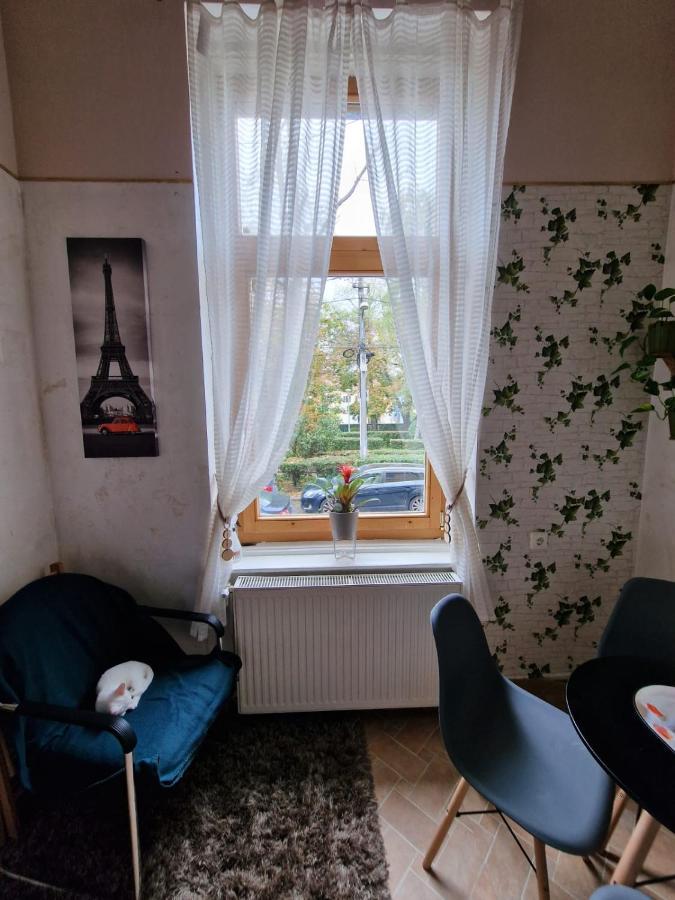 Apartament Ultracentral 2 Piata Muzeului Κλουζ-Ναπόκα Εξωτερικό φωτογραφία