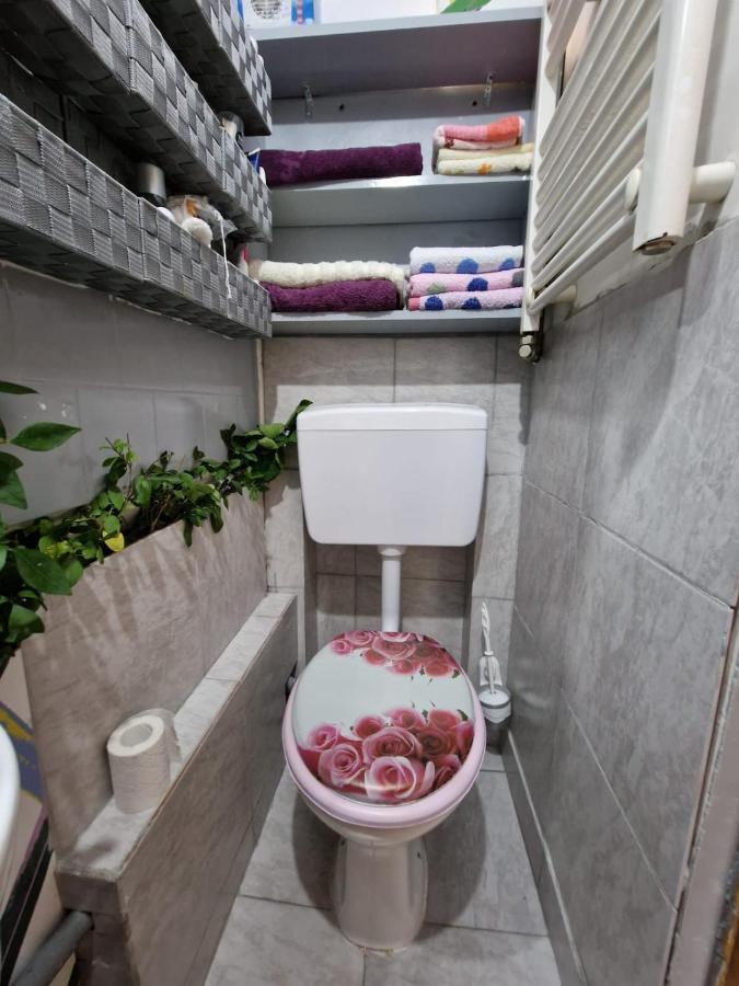 Apartament Ultracentral 2 Piata Muzeului Κλουζ-Ναπόκα Εξωτερικό φωτογραφία