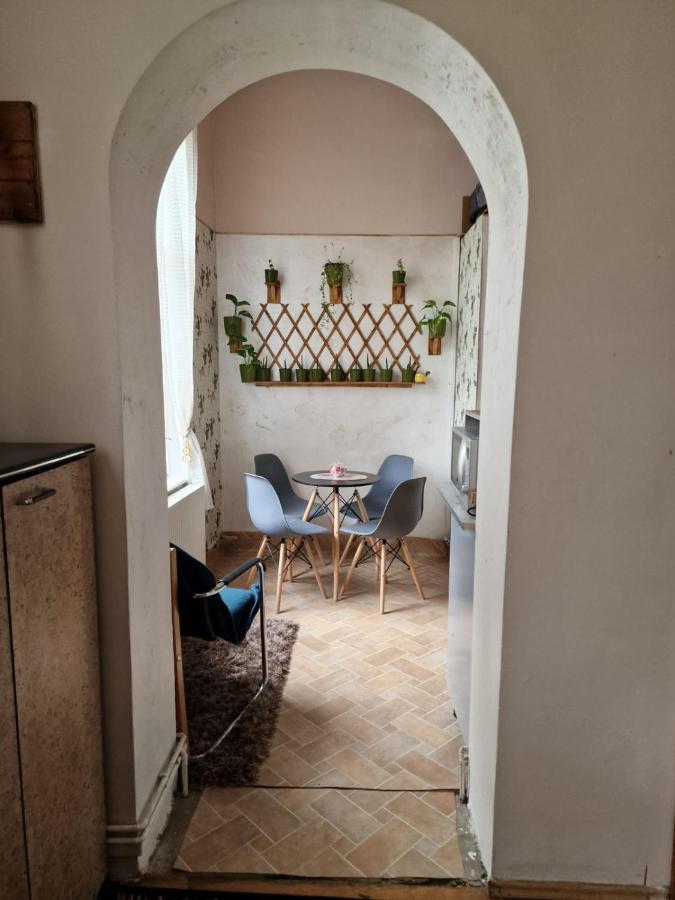 Apartament Ultracentral 2 Piata Muzeului Κλουζ-Ναπόκα Εξωτερικό φωτογραφία