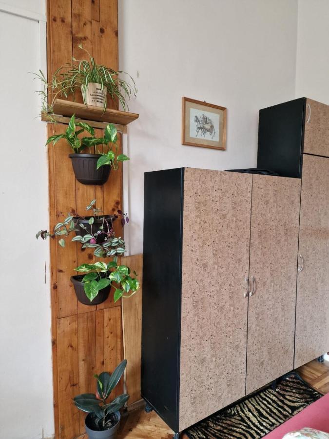 Apartament Ultracentral 2 Piata Muzeului Κλουζ-Ναπόκα Εξωτερικό φωτογραφία