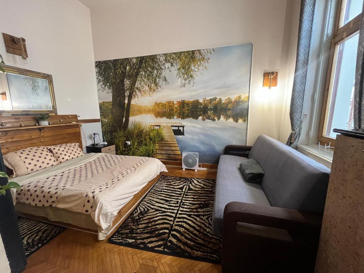 Apartament Ultracentral 2 Piata Muzeului Κλουζ-Ναπόκα Εξωτερικό φωτογραφία
