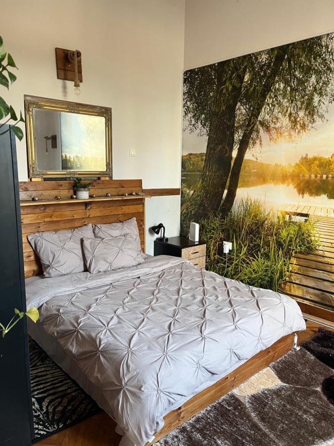 Apartament Ultracentral 2 Piata Muzeului Κλουζ-Ναπόκα Εξωτερικό φωτογραφία